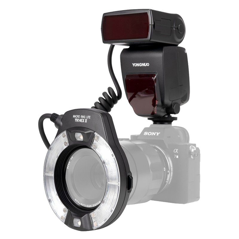 Спалахи для макро зйомки